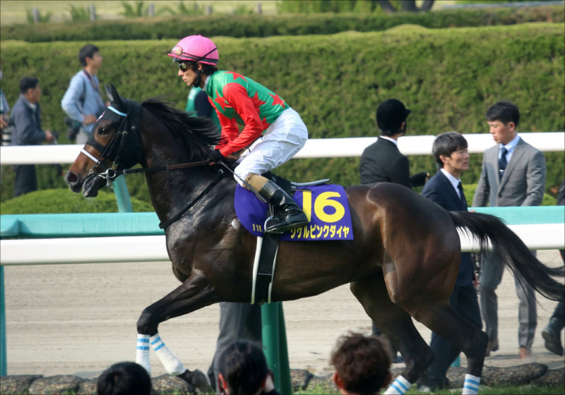 テイエムオペラオー　菊花賞 鞍上和田騎手テイエムオペラオーの菊花賞（G1）戴冠を阻止したのは