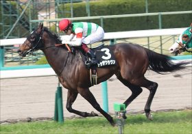 【京王杯SC（G2）展望】JRA「超良血」トゥザクラウン覚醒の実力は!? 実績馬・復活の大器と激突