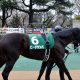 JRAクイーンS(G3)は“グラビアクイーン”&関西の女帝“お騒がせ女性”がサイン!? 荒れる夏競馬こそ「サイン馬券」が光る!!