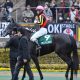 JRA大阪杯アーモンドアイら参戦で「史上最強」レベルに!? 「新型コロナ余波」ドバイ延期(中止)可能性浮上で