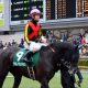 「藤田さんにはいつも怒られていたけど……」M.デムーロ思い出の1頭。有馬記念「2cm差」の勝利、ドバイで悲願達成ヴィクトワールピサが新天地へ