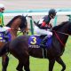 JRA・NHKマイルC「令和サイン」新天皇陛下の「競馬伝説」と「心惹きつける大喝采」で一撃?