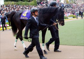 JRA美浦関係者「耳寄り情報」日本ダービー（G1）5頭独占情報をゲット！　あの素質馬の状態は……