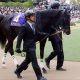 JRA日本ダービー「53年ぶり」12番人気・浜中俊ロジャーバローズ「大波乱」で世代の頂点に！ 圧倒的1番人気サートゥルナーリアは4着敗戦……