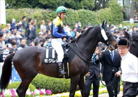 JRA「ディープインパクト×アパパネ」2歳新馬ラインベックは金子真人オーナーの大本命!? 三冠牝馬アパパネ「最高傑作」が今月末デビュー濃厚