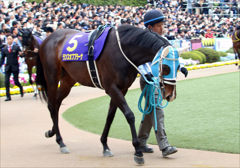 JRAラジオNIKKEI賞(G3)至高の「1点」馬券!有力「現場ネタ」から完全的中狙い!!【重賞「1点」勝負2連戦】の画像1