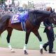 JRA【宝塚記念(G1)展望】サートゥルナーリアVSラッキーライラック! アーモンドアイ不在も「G1馬・8頭」超豪華メンバーで熱戦必至