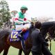 JRAオークス(G1)武豊VSデムーロで決まり!?「極秘ネタ」から「三連単」を狙い打ち!!