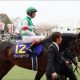 JRA「真価問われる」ワグネリアンが札幌記念(G2)で能力爆発!? 同世代に「死角」はあり