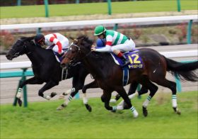 JRA日本ダービー（G1）サートゥルナーリア超える鉄馬！ 現場ネタから「超伏兵」も発見!!