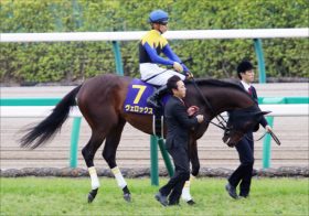 JRA日本ダービー（G1）大器覚醒ヴェロックス「打倒サートゥルナーリア」へ超抜時計!!「余裕があるから負荷をかけられる」【日本ダービー1週前追い切り】