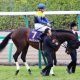 JRAオークス(G1)武豊VSデムーロで決まり!?「極秘ネタ」から「三連単」を狙い打ち!!