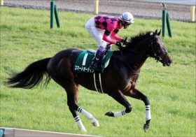 JRA「異色の追込み」スマートオーディンが安田記念（G1）で爆発？ 自分の競馬に徹すれば……