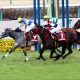 JRA「+32キロ重賞制覇」デアレガーロは高松宮記念(G1)で何キロ?