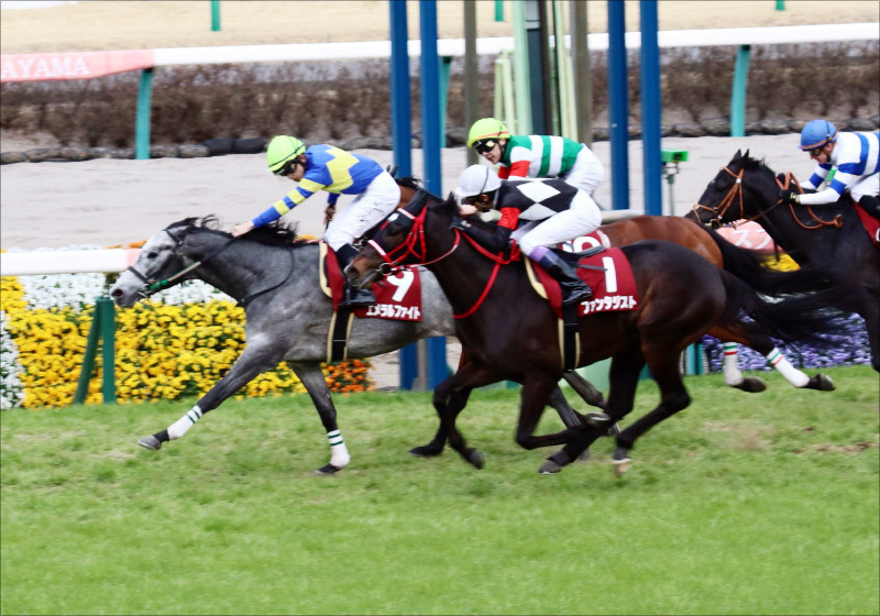 JRA ダービー卿CT（G3）プリモシーンに「マイナス情報」!? 余裕の「本命切り」で渾身の現場ネタが「波乱の立役者」を導き出す!!の画像2