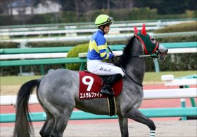 JRA日本ダービー（G1）エメラルファイト「下位人気活躍」の波に乗れ！ 石川裕紀人腕の見せ所