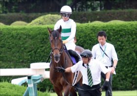 JRAキセキ「凱旋門賞挑戦」決定。同厩舎ロジャーバローズとともに果てなき夢へ始動か