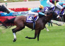 JRAヴィクトリアマイル（G1）アーモンドアイ「有馬記念」で露呈した弱点!? 最強女王がジャパンCや天皇賞・秋のように先行できない理由
