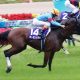 JRAヴィクトリアマイル(G1)ダノンファンタジー「作戦変更」に暗雲!? 前走大幅増から減らない馬体重、「ソフト仕上げ」は果たして正解なのか?