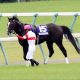 JRA「注目新馬」重鎮キングカメハメハ産駒の大物登場！ 3場開催で熱戦展開