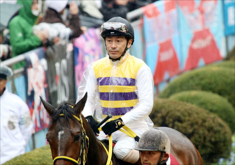 JRA 西山茂行オーナー動いた! 函館記念(G3)ニシノデイジー「再出発」函館デビューからこの馬を知り尽くす勝浦正樹騎手にラブコール!の画像2