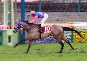 JRA「覚醒」松山弘平が「大本命」川田将雅に待った!? 阪神大賞典（G2）メイショウテンゲンが“キセキ狩り”で下剋上？