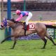 J.モレイラ騎手「ドバイ断念」で日本馬「鞍上問題」急浮上! R.ムーア騎手が名乗りも、武豊騎手らにもチャンスか