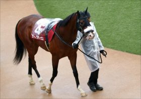 【青葉賞（G2）展望】JRA「日本ダービー重要前哨戦」に素質馬集結！ 令和最初の大舞台「切符」を手にするのは