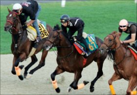 「安易に飛びつくのは危険」「120点をやってもいい」鈴木和幸が見極めた全18頭の状態。高松宮記念出走馬の最終追い切り診断公開中！