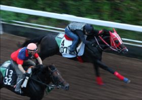 「レイデオロは85点」「スワーヴリチャードには警鐘」鈴木和幸が見極めた全18頭の状態。皐月賞出走馬の最終追い切り診断公開中！