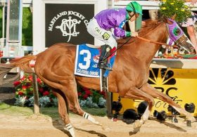 JRAに米国最強種牡馬カリフォルニアクロームがやってくる！ ネクストサンデーサイレンスの期待