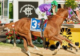 日本馬が世界と戦う今だからこそ押さえておきたい「世界トップ10」！ 頂点に君臨する名馬たちとは