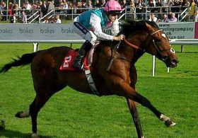 デビュー戦快勝『16冠ベビー』の第2章が今週開幕！21世紀最強馬フランケルの娘ソウルスターリングが「最強マル外」が通った登竜門に挑戦！