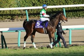 怪物サートゥルナーリア「異次元の走り」は世界へ――！ 凱旋門賞（G1）で最強女王アーモンドアイとの対決も