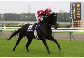 追悼キングヘイロー。福永祐一の涙とヨシトミ先生の快挙