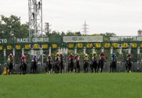 オークスもダービーも密接関係!? 東京競馬場で注目の調教師
