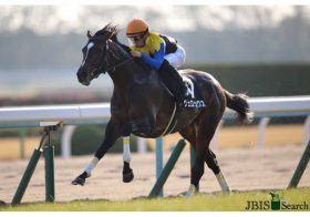 JRA皐月賞（G1）未完の大器ヴェロックスは「勝率50％」!? 川田将雅×中内田充正「リーディング・コンビ」による驚異の成績