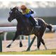 JRA皐月賞(G1)「3連勝」サトノルークス池添謙一の一発あるか。「良血」兄弟の分まで大器完成に期待