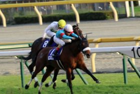 JRA「最強」アーモンドアイ「ドバイ＆凱旋門賞」W挑戦なら不安だらけ？ 「ハード」「体質」「過去の傾向」