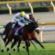 JRA「裁決曖昧」に関係者激怒!? 松岡、武藤騎手2週間騎乗停止が厳しすぎ?