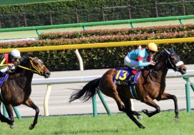 JRA牝馬二冠アーモンドアイの妹「記載ミス」？ シルクレーシングの”興奮”にツッコミ多数も、気持ちはわかる？