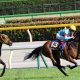 【葵S(重賞)展望】初代王者の栄光はどの馬に?3歳世代のスピード自慢が大集結!