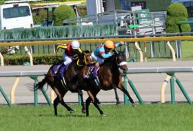 リリーノーブル骨折……アーモンドアイ「歴史的強さ」に立ち向かった「最高レース」の代償？の声も