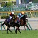 日本ダービー(G1)も「アーモンドアイは勝てる」のか? タイムと歴代傾向「今年の牡馬レベル」が後押し?