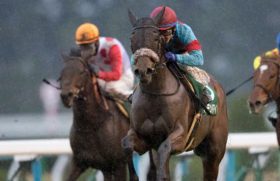 【オークス（G1）展望】「超新星」アーモンドアイVS「2歳女王」ラッキーライラック再び！M.デムーロ「大器」サトノワルキューレに逆転女王の可能性