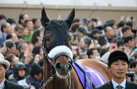 JRA「年度代表馬」アーモンドアイ当確でロードカナロア時代!? 2019年種付け料ほぼ「倍増」1500万円も大人気