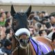 JRA「史上初」大記録へアルバート出陣! ステイヤーズS(G2)「同一重賞4連覇」で12年続く”名門の証”繋ぐ