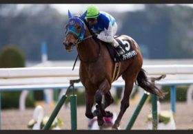 【徹底考察】皐月賞（G1）アドマイヤダイオウ＆ナムラシングン　「8馬身差圧巻の若葉Sの評価は……」