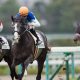 レーヌミノルは常識覆す「第2のキタサンブラック」!? 距離不安が囁かれる今年の桜花賞馬がオークス(G1)で崩れない「動かぬ証拠」とは