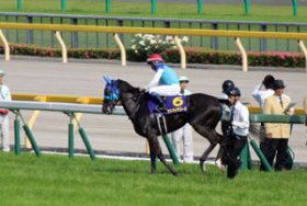 アドマイヤ軍団復活の時!? 夢の「3週連続G1制覇」へ、ヴィクトリアマイル（G1）にアドマイヤリード先陣を切るも、不安の種は「位置取り」？